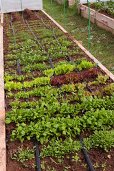 Similar image 21382135