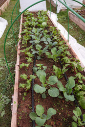 Similar image 21382265