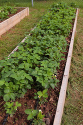 Similar image 21382267