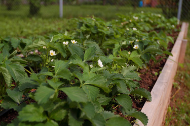 Similar image 21382268