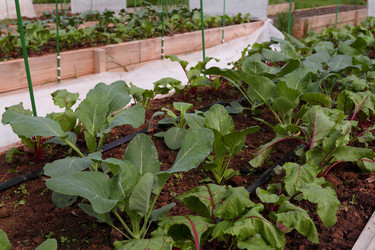 Similar image 21382269