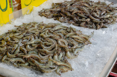 Similar image 21384917