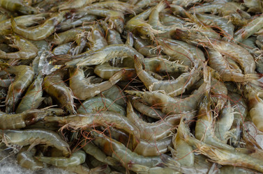 Similar image 21384918