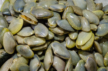 Similar image 21384922