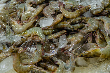 Similar image 21384923