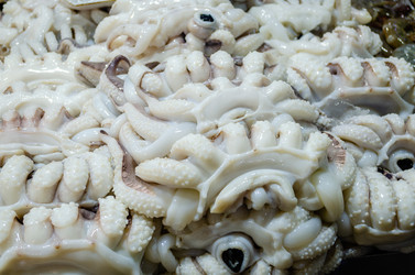 Similar image 21384924