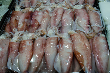 Similar image 21384925