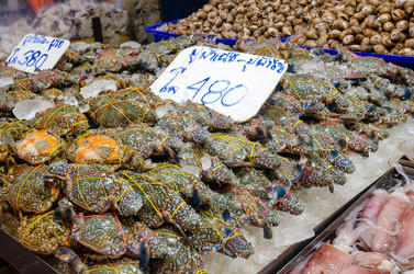 Similar image 21384926