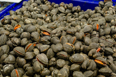 Similar image 21384928