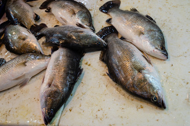 Similar image 21384929