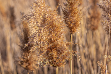 Similar image 21385447