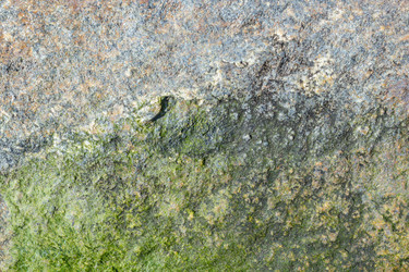 Similar image 21385452