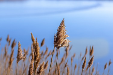 Similar image 21385455