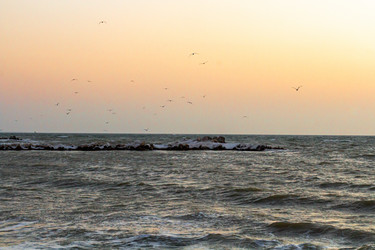 Similar image 21385457