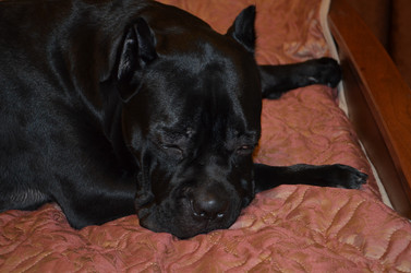 Similar image 21384931