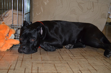 Similar image 21384932