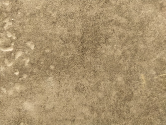 Similar image 21404531