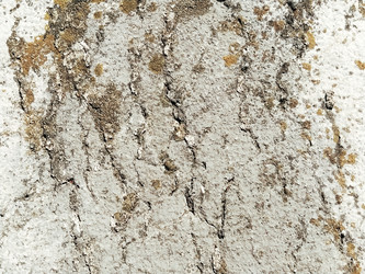 Similar image 21405569