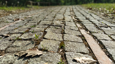 Similar image 21405570