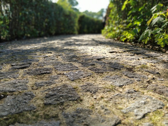 Similar image 21405571