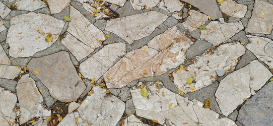 Similar image 21405583