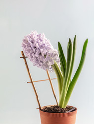 Similar image 21399177