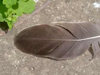 Similar image 21383964