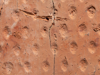 Similar image 21383965