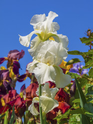 Similar image 21383967