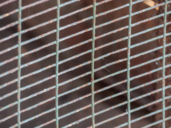 Similar image 21383975