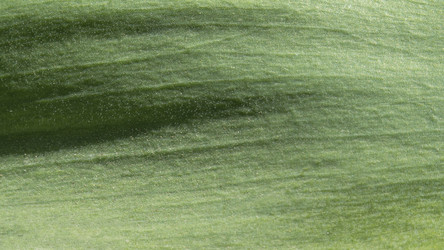 Similar image 21383978