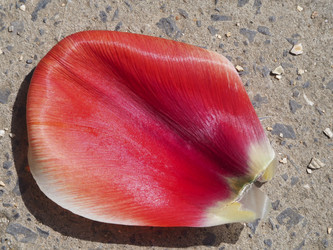 Similar image 21383981