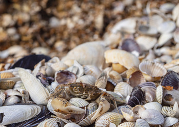 Similar image 21383984