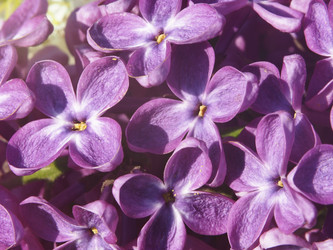 Similar image 21383985