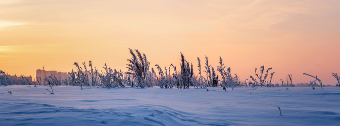 Similar image 21385659