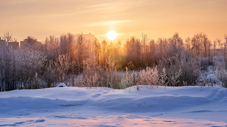 Similar image 21385664