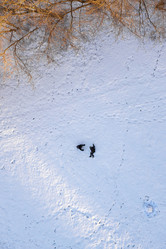 Similar image 21385667