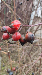 Similar image 21382152