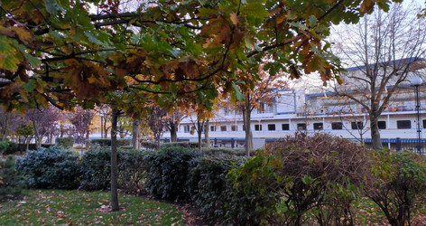 Similar image 21382153