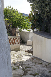 Similar image 21425106