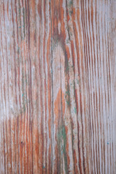 Similar image 21381998