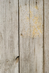 Similar image 21381999