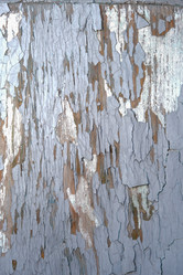 Similar image 21382001