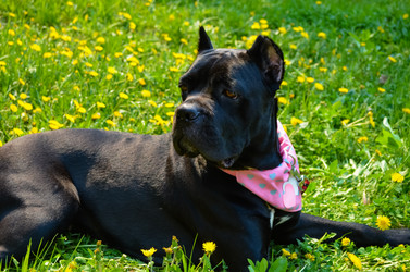 Similar image 21385479