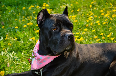 Similar image 21385480