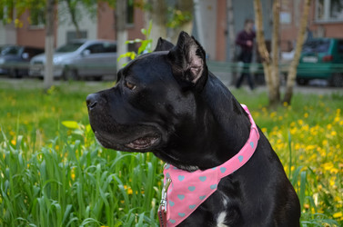 Similar image 21385481