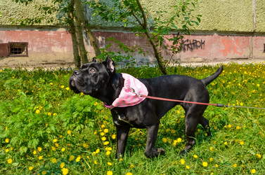 Similar image 21385482