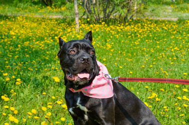 Similar image 21385483