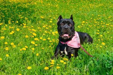 Similar image 21385484