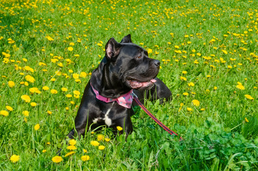 Similar image 21385485